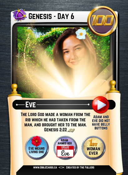 Genesis Edition Bible Cards - Pack of 26 Trading Cards