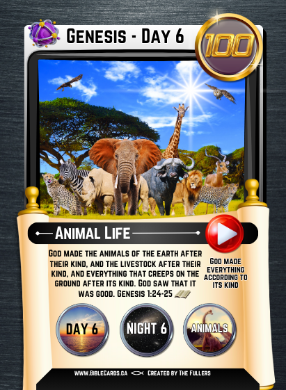 Genesis Edition Bible Cards - Pack of 26 Trading Cards