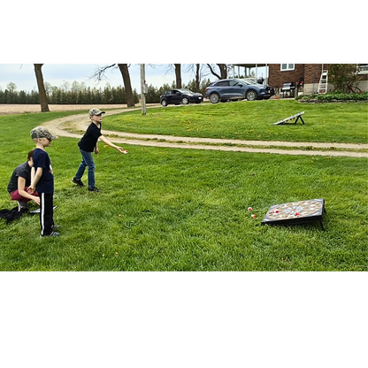 Dart Ball Lawn Game