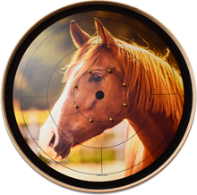 Load image into Gallery viewer, The Golden Horse - Photo Tournament Board Game Set - Meets NCA Standards