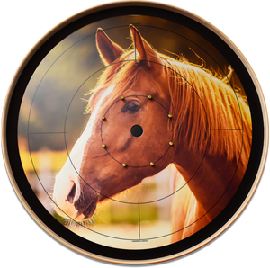 The Golden Horse - Photo Tournament Board Game Set - Meets NCA Standards