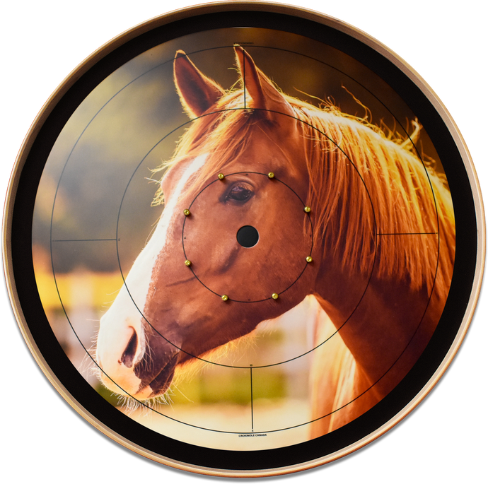The Golden Horse - Photo Tournament Board Game Set - Meets NCA Standards